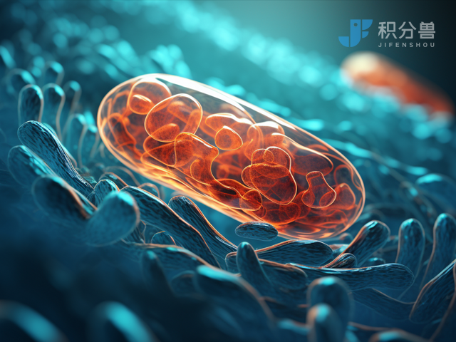 为什么说积分制管理是中小企业的“翻盘工具”？